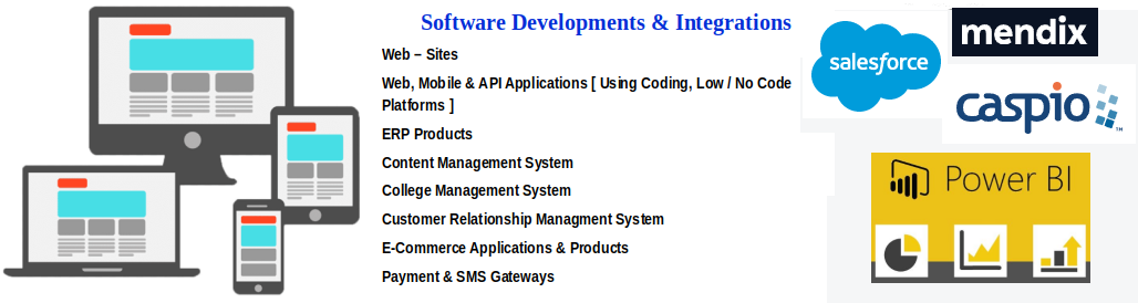 Our Special Software Services