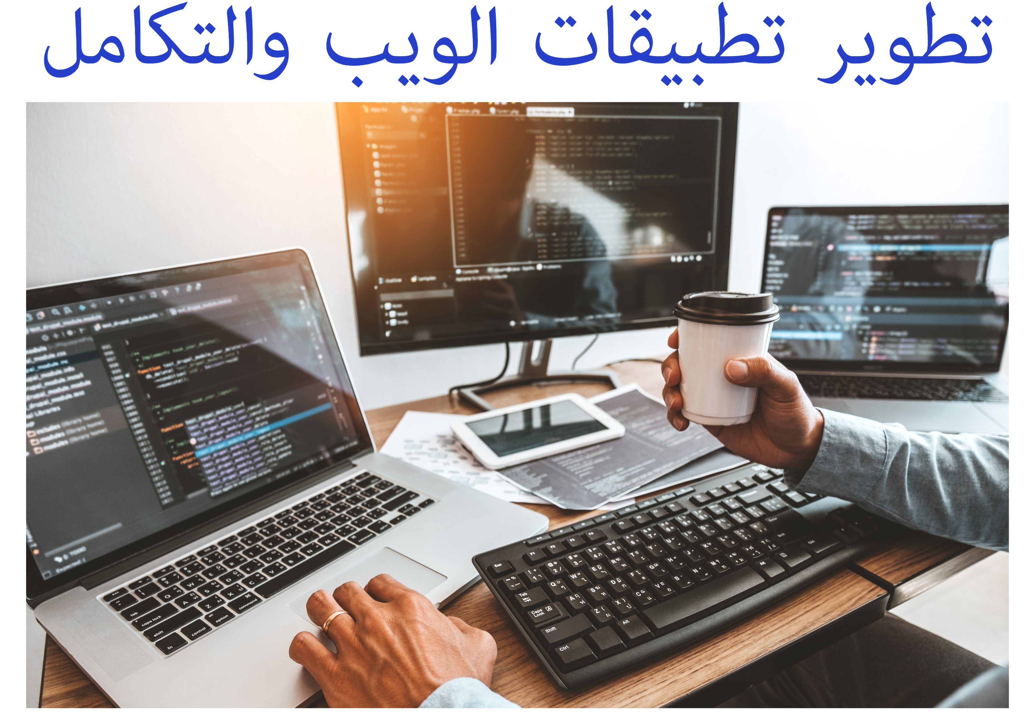التواب للحلول البرمجية => تطويرات وتكاملات تطبيقات الويب